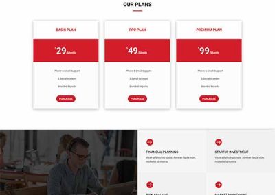 Divi Consulting Layout